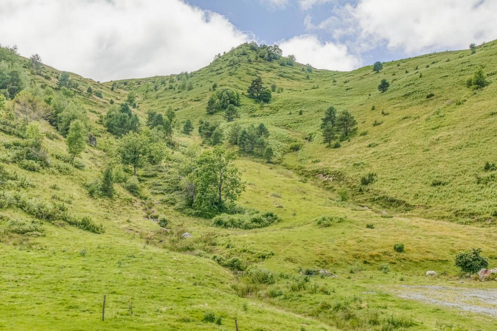 Appartement Alpin A 200M Des Pistes Genos Екстер'єр фото
